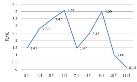 圖片6.jpg
