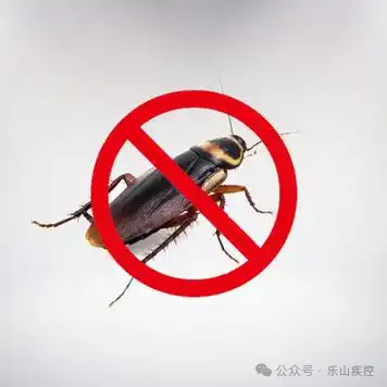 jk2025051503.png
